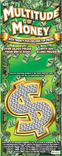 Multitude Of Money